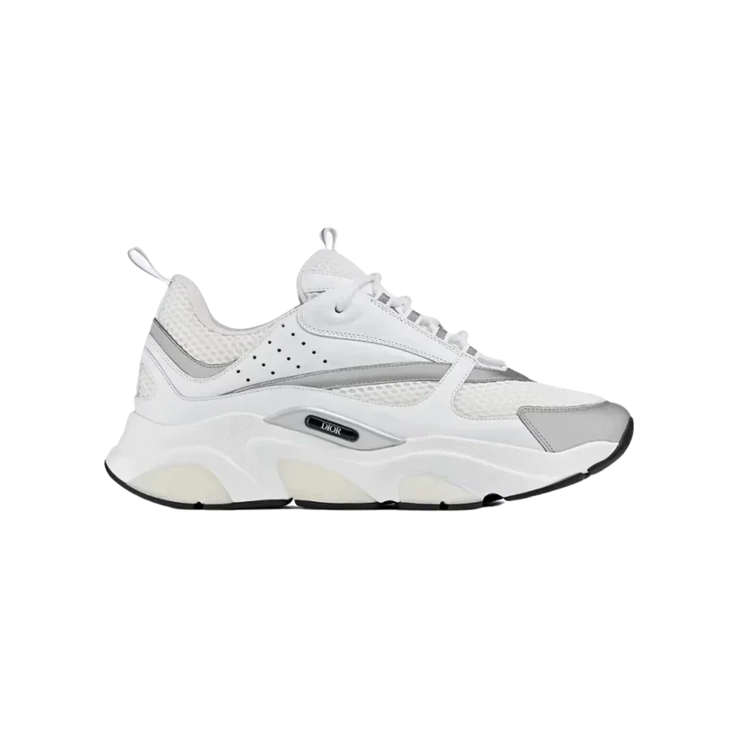 Dior B22 White Grey
